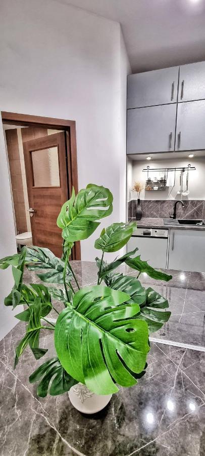 Apartament Kaczyniec 10 Гливице Экстерьер фото